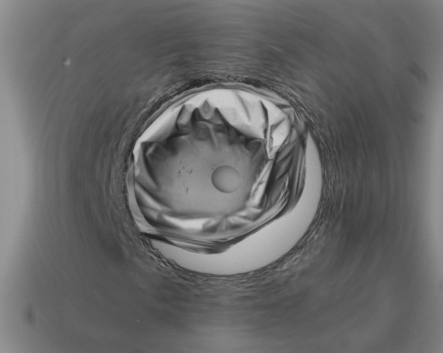 X0000114431057200911061638