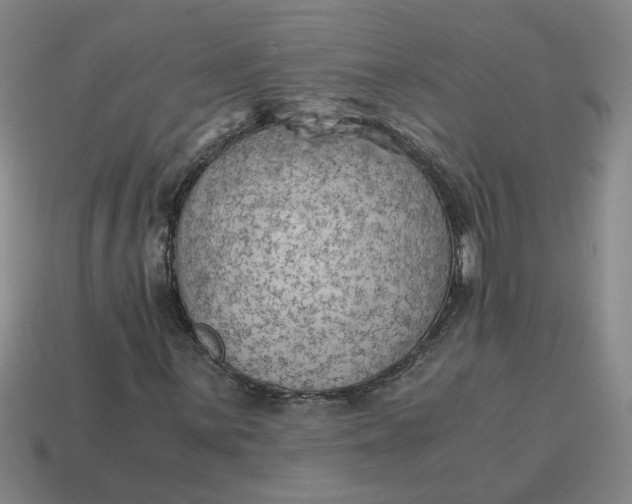 X0000114431059200911061638