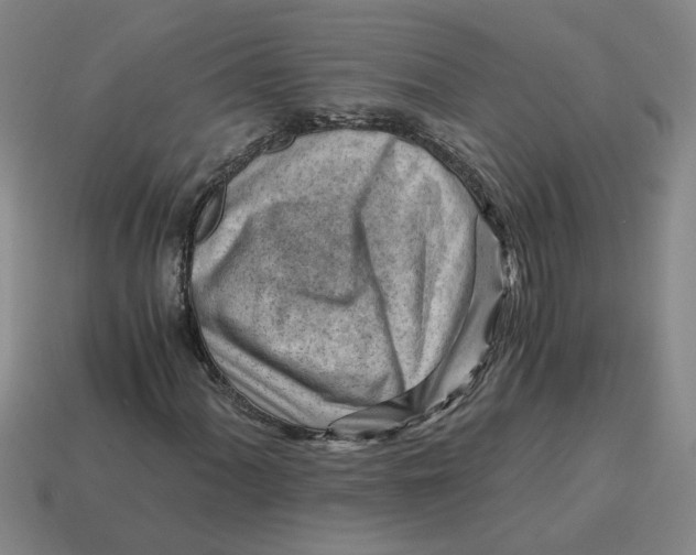 X0000114431060200911061638