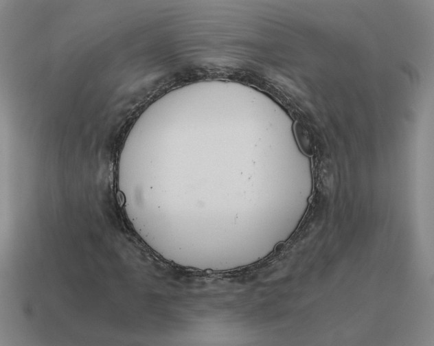 X0000114431061200911061638