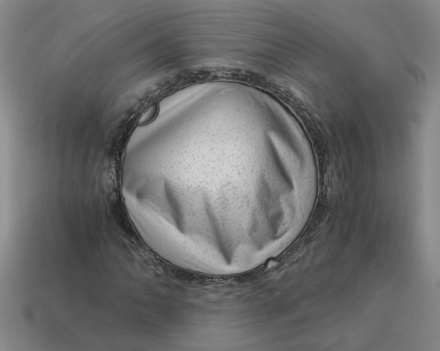 X0000114431062200911061638