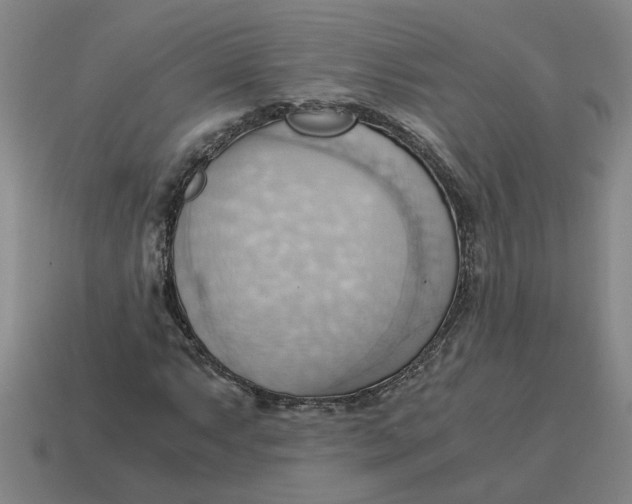 X0000114431063200911061638