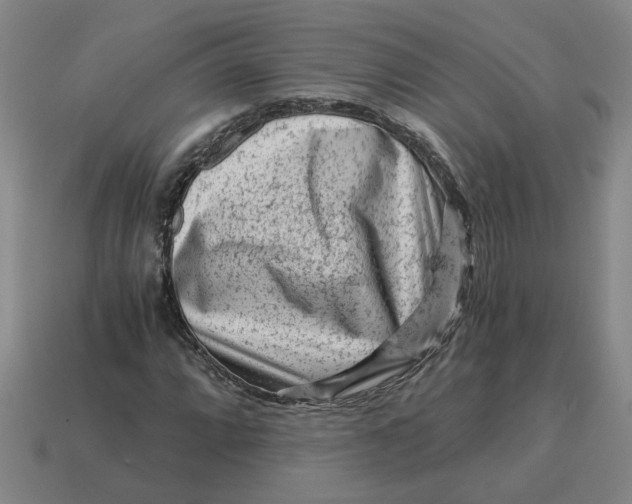 X0000114431064200911061638