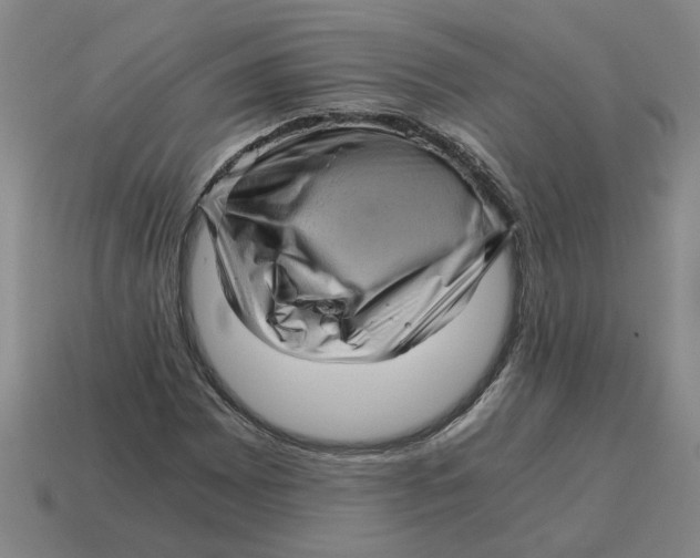 X0000114431065200911061638