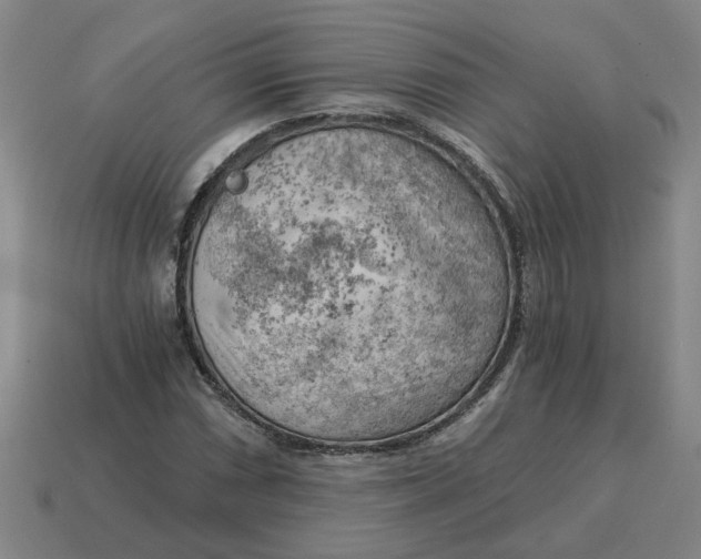 X0000114431066200911061638