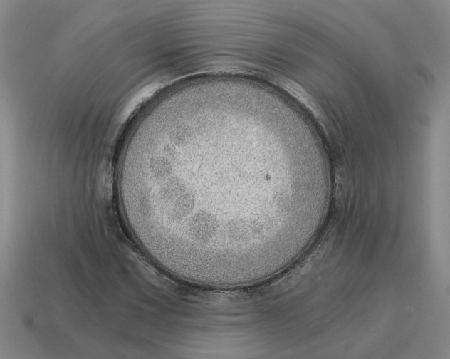 X0000114431067200911061638