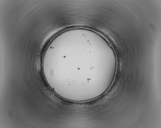 X0000114431069200911061638
