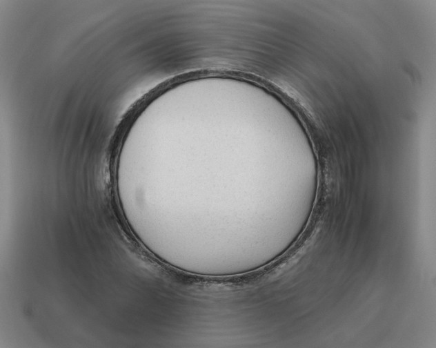 X0000114431070200911061638
