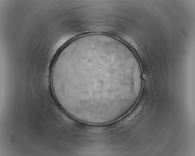 X0000114431071200911061638