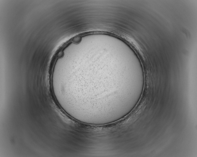 X0000114431072200911061638