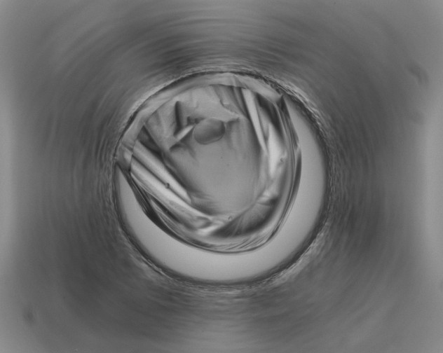 X0000114431073200911061638