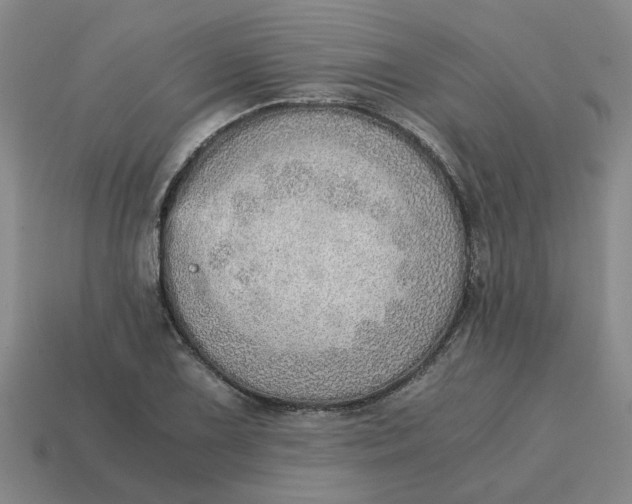 X0000114431075200911061638