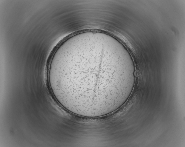 X0000114431076200911061638