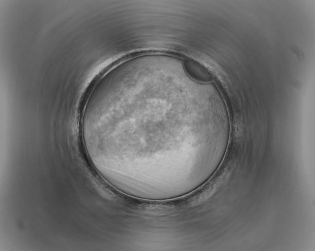 X0000114431077200911061638