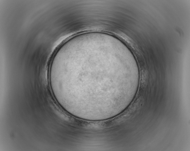 X0000114431078200911061638