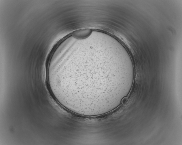 X0000114431080200911061638