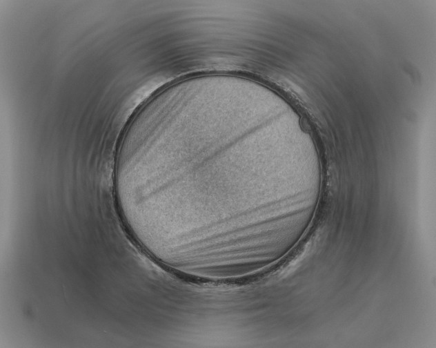 X0000114431081200911061638