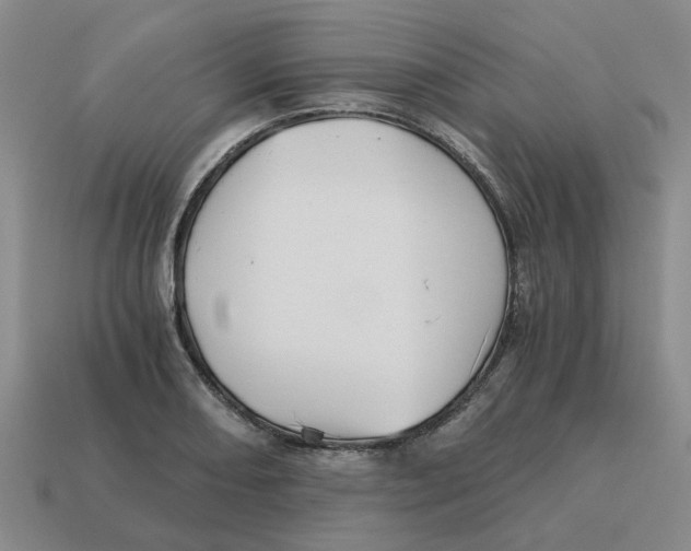 X0000114431082200911061638