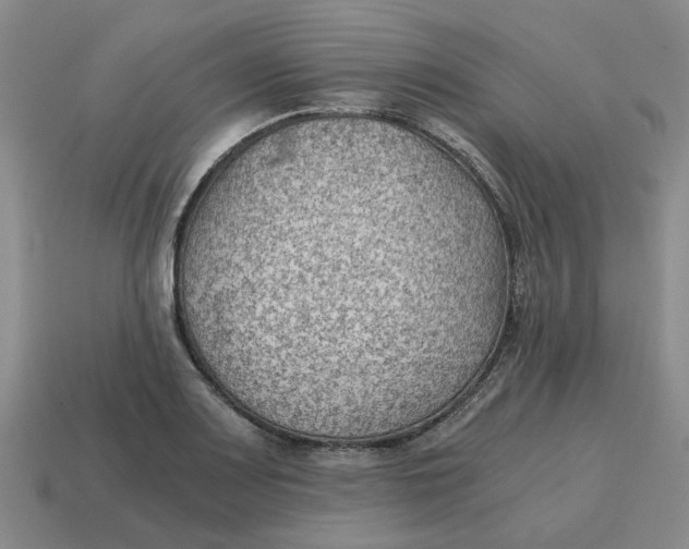X0000114431083200911061638