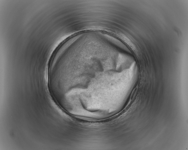 X0000114431084200911061638