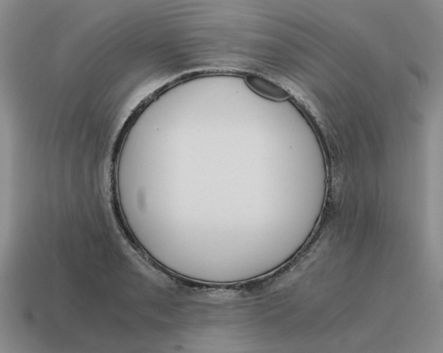 X0000114431085200911061638