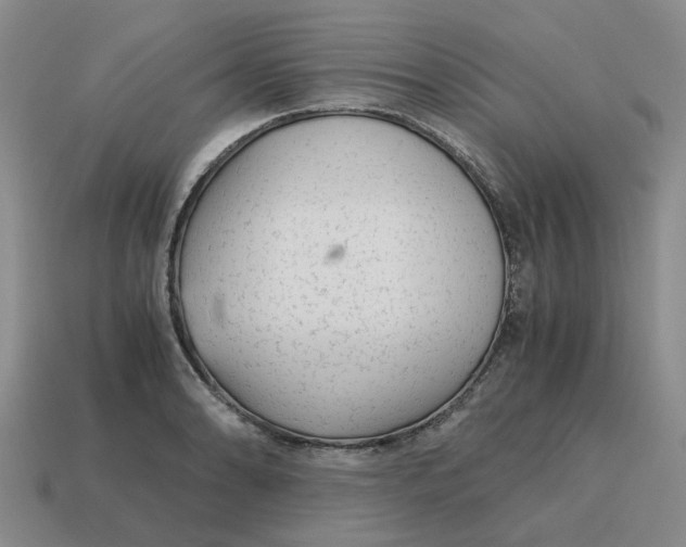X0000114431086200911061638