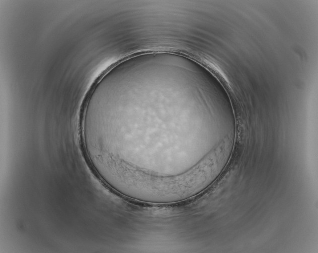 X0000114431087200911061638