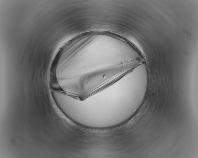 X0000114431088200911061638