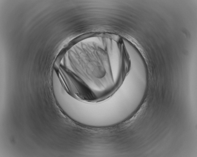 X0000114431089200911061638