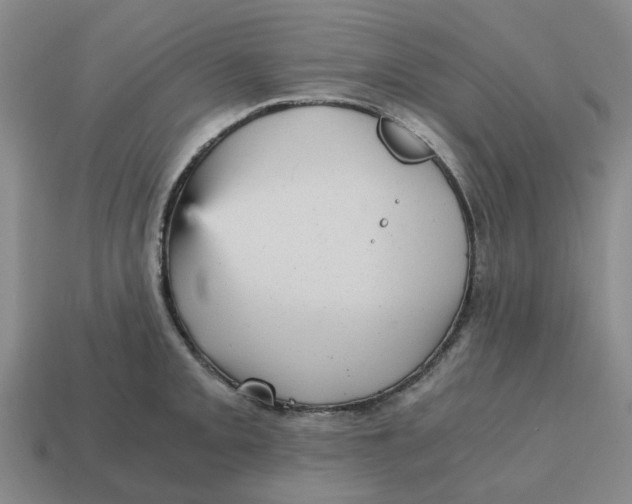 X0000114431093200911061638