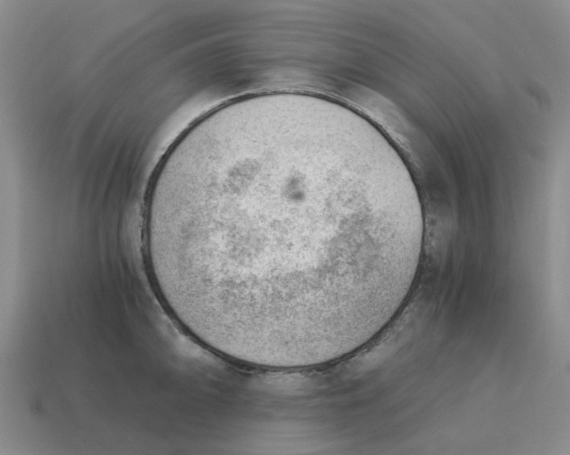 X0000114431094200911061638