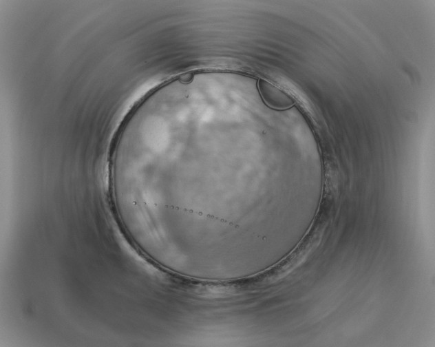 X0000114431095200911061638