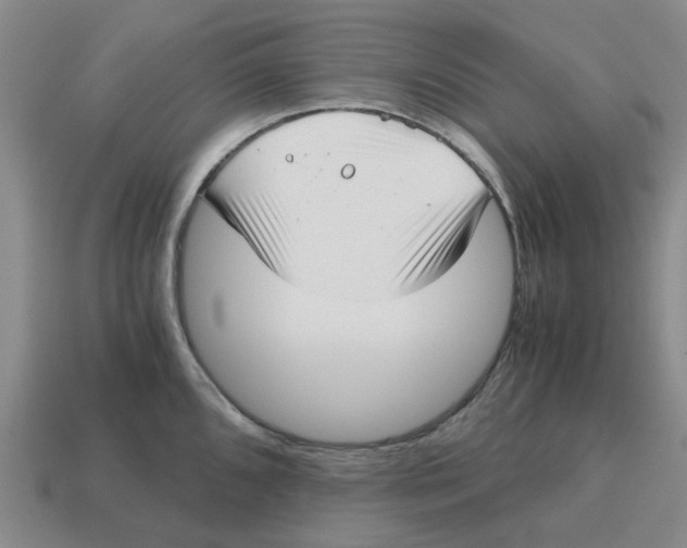 X0000114431096200911061638