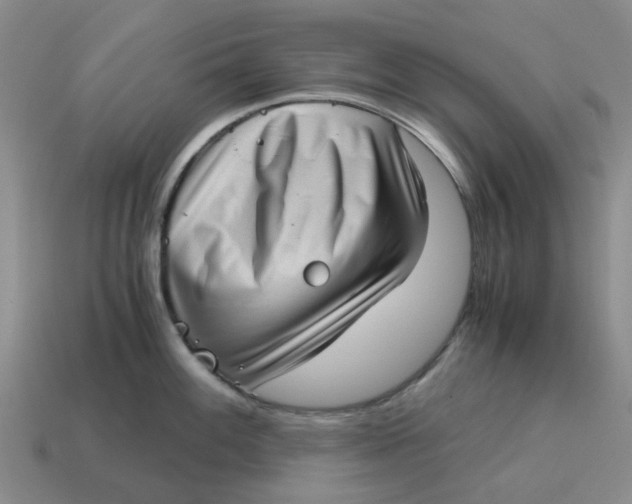 X0000114431100200911061638