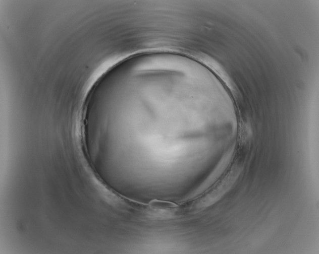 X0000114431101200911061638