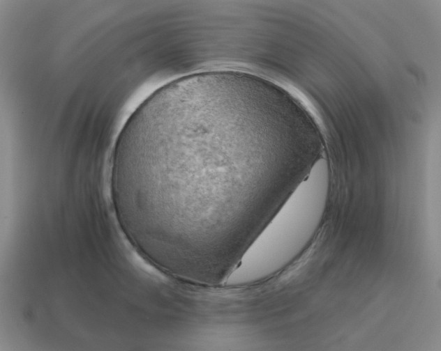 X0000114431102200911061638