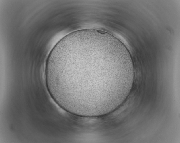X0000114431103200911061638