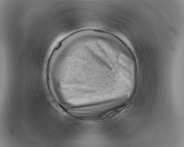X0000114431104200911061638