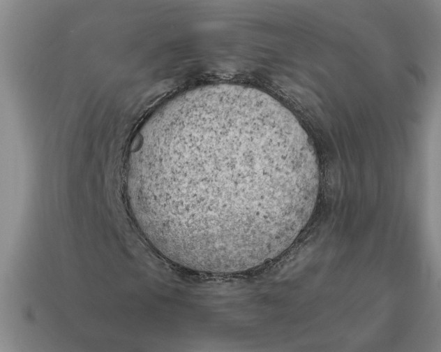 X0000114431105200911061637