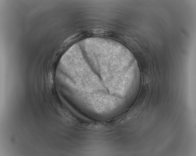 X0000114431106200911061637
