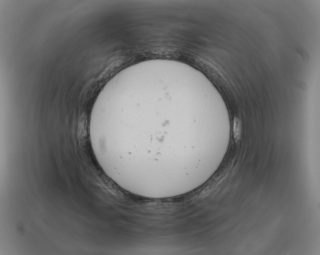 X0000114431107200911061637