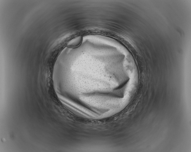 X0000114431111200911061637