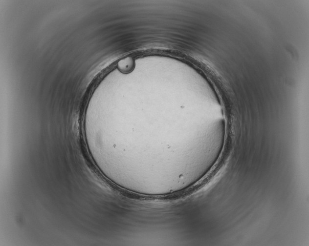 X0000114431113200911061637