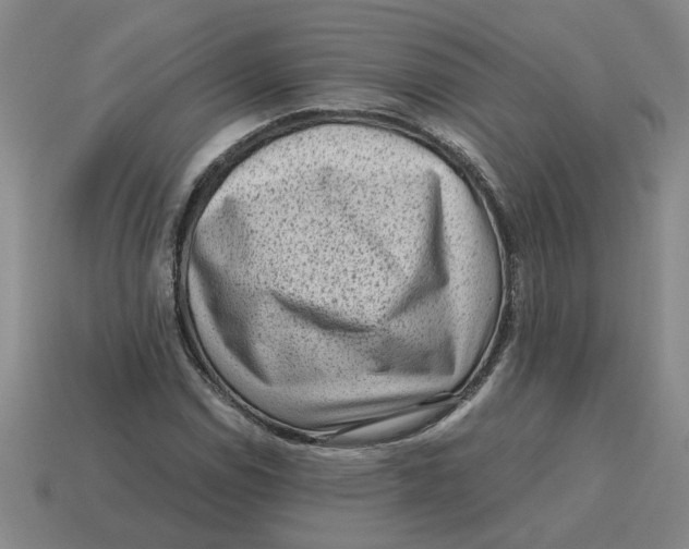 X0000114431114200911061637