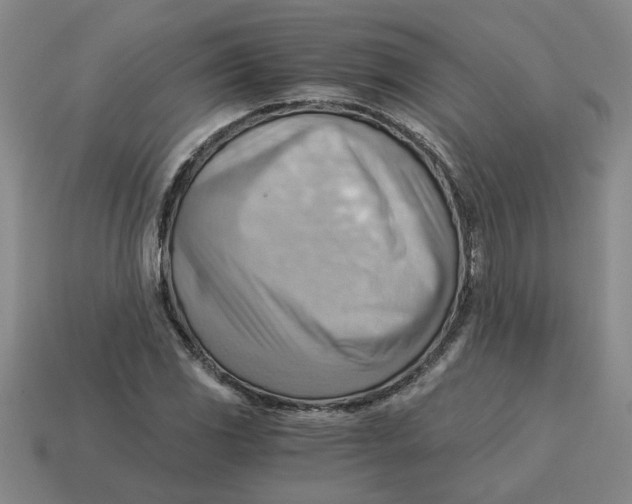X0000114431117200911061637