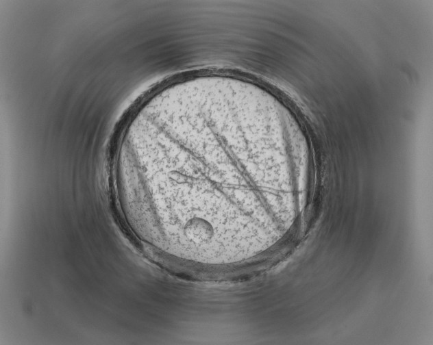 X0000114431118200911061637