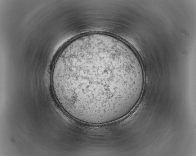 X0000114431119200911061637