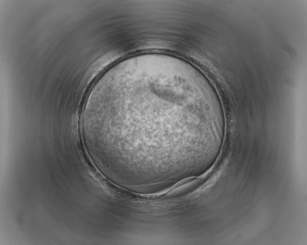 X0000114431121200911061637