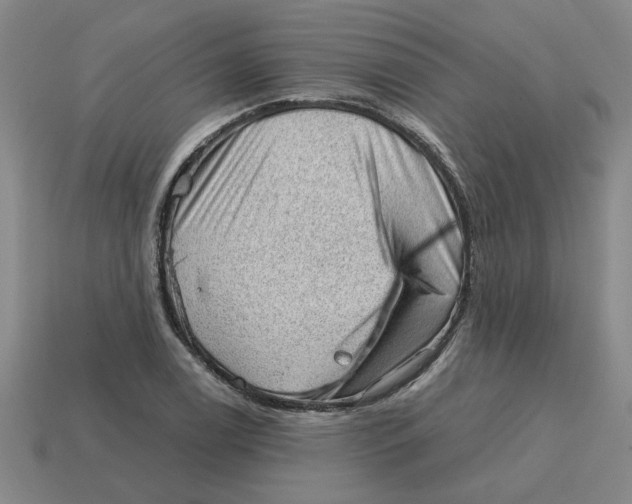 X0000114431122200911061637