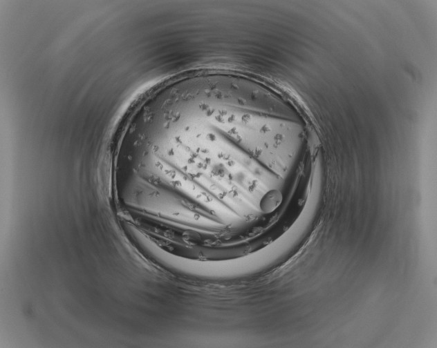 X0000114431123200911061637